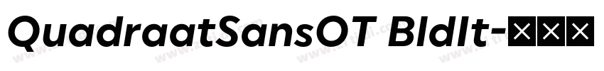 QuadraatSansOT BldIt字体转换